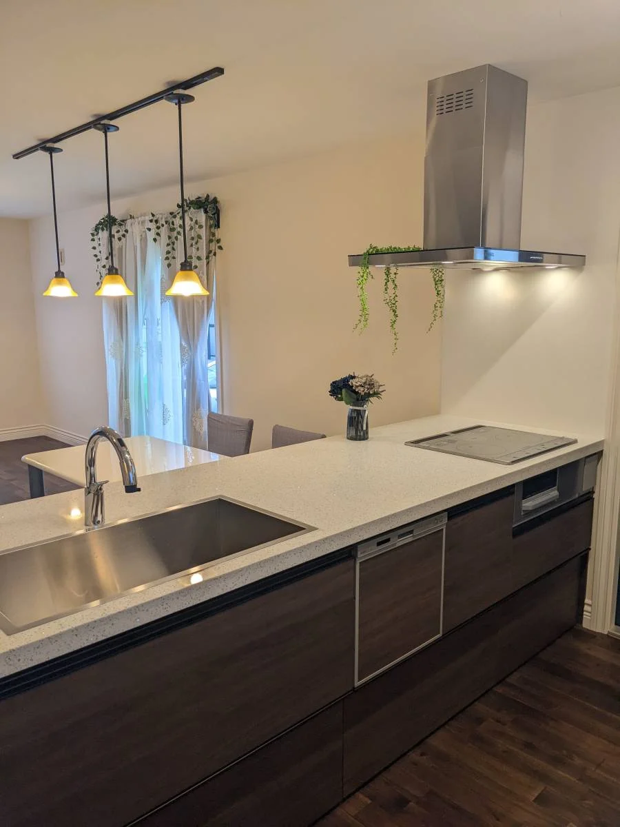 Range Hoods Images (pc_size 01)